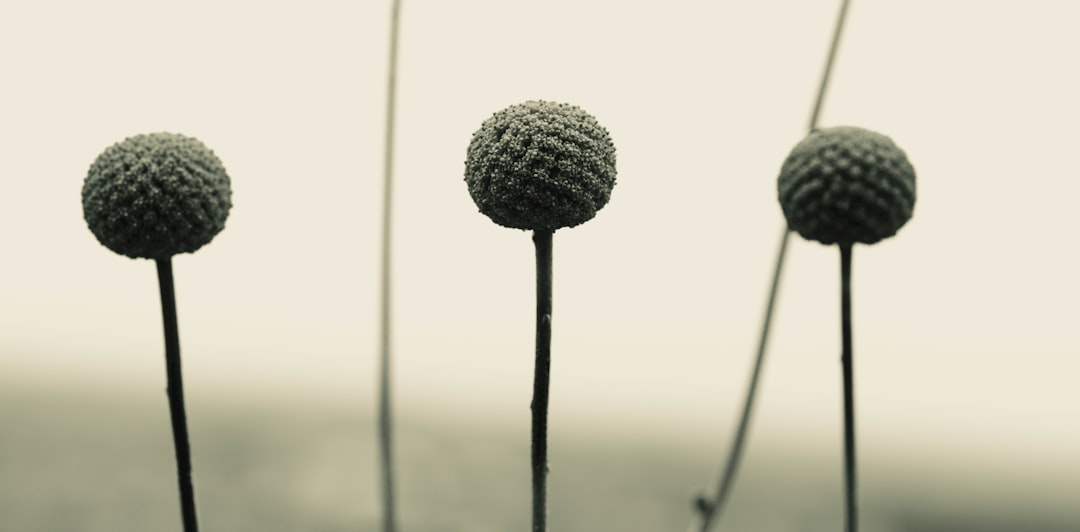 a close up of a bunch of flowers on a stick