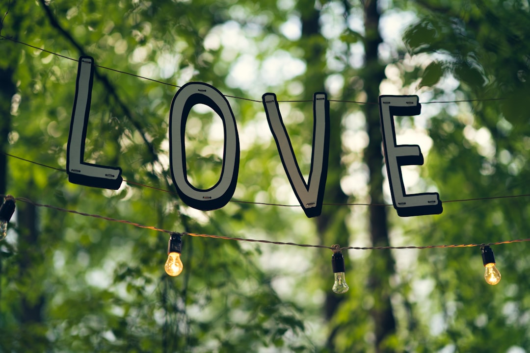 a string of light bulbs hanging from a string with the word love spelled on it
