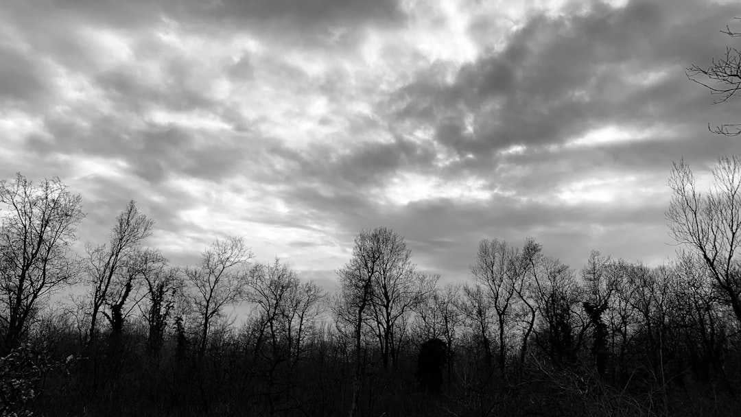 a black and white photo of a cloudy sky