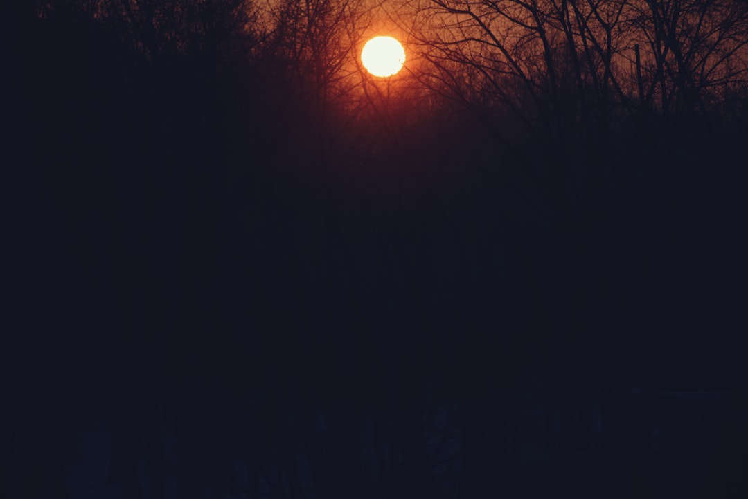 The sun is setting behind some trees in the dark